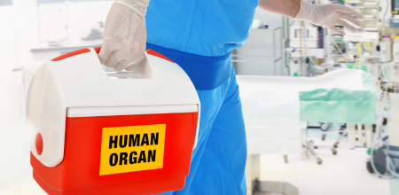 "Surgeon Surgeon holding a case containing a human organ for transplantation